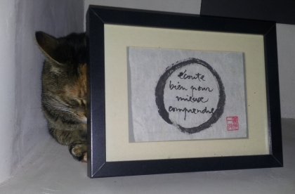Cat and Buddhist saying
